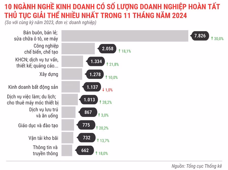 10-nganh-nghe-kinh-doanh-co-so-luong-dn-hoan-tat-thu-tuc-giai-the-nhieu-nhat-trong-11-thang-dau-nam-2024.jpg