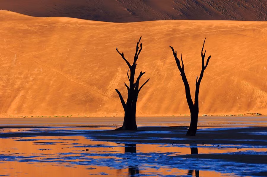 deadvlei-namibia.jpg