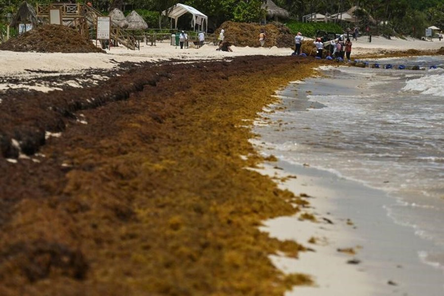 bien-sargasso.jpg