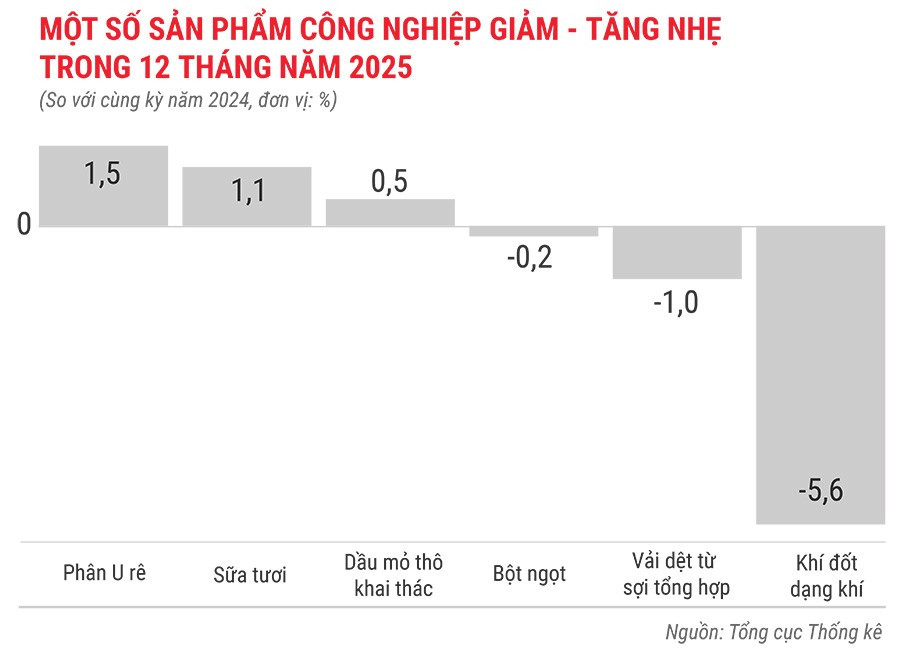mot-so-san-pham-cong-nghiep-giam-trong-12-thang-nam-2025.jpg