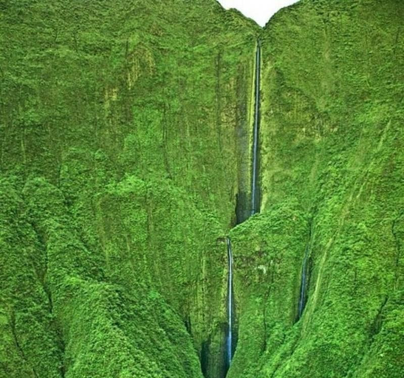 thac-honokohau.jpg