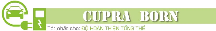 tit-3-cupra-born.jpg
