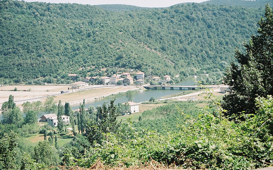 bartin.jpg