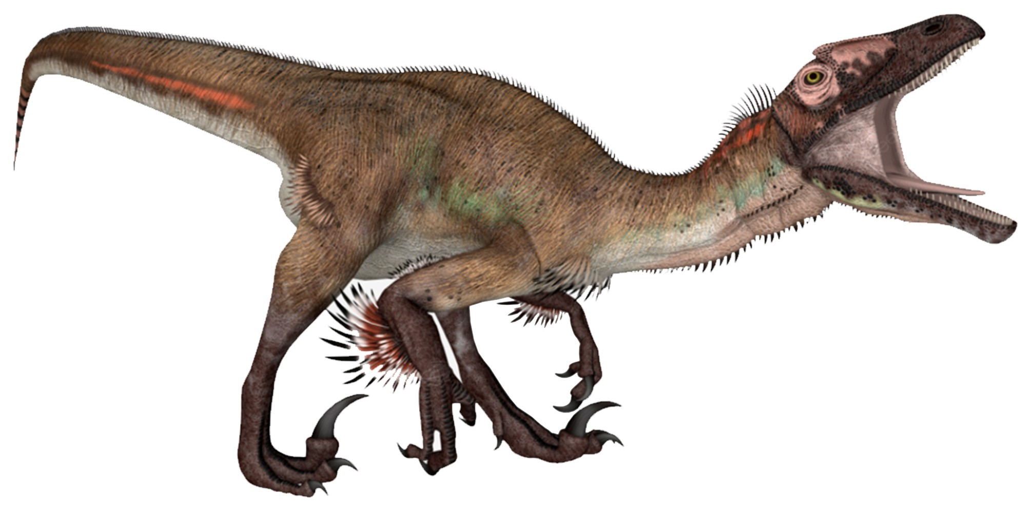 utahraptor.jpg