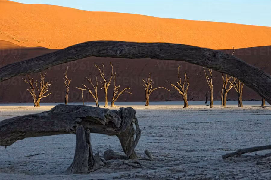 Dead Vlei (1).jpg
