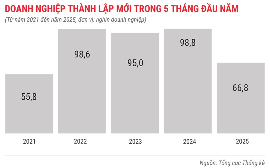 dn-thanh-lap-moi-trong-5-thang-tu-nam-2021-den-2025.jpg