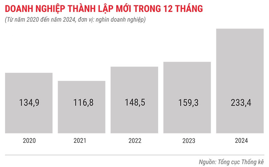 dn-thanh-lap-moi-trong-12-thang-tu-nam-2020-den-2024.jpg