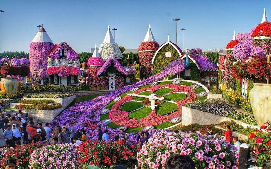 dubai-miracle-garden-2.jpg