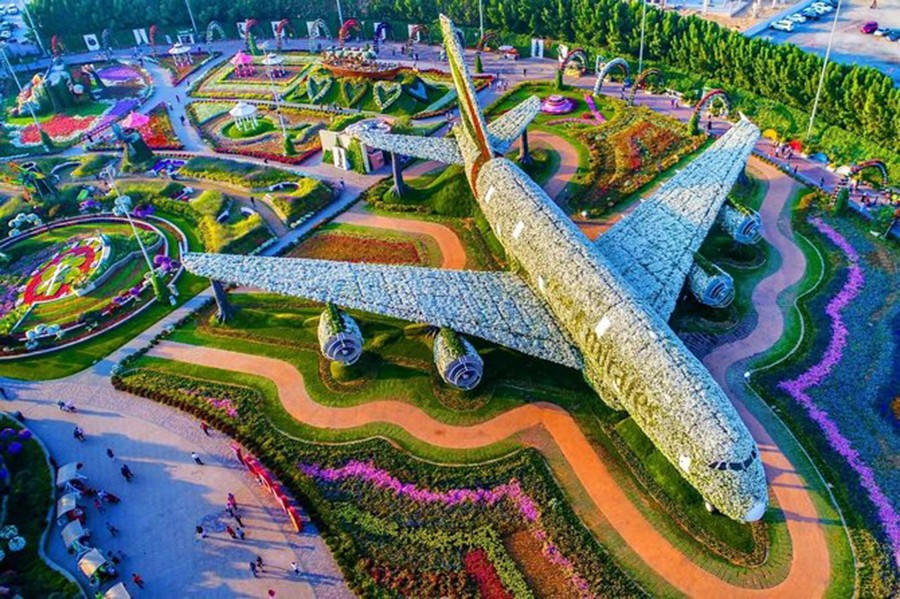dubai-miracle-garden-1.jpg
