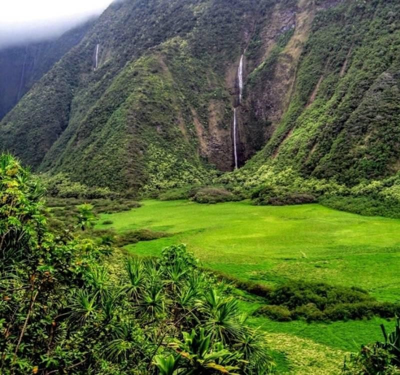 thac-waiilikahi.jpg