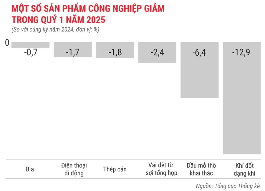 mot-so-san-pham-cong-nghiep-giam-trong-quys-1-nam-2025.jpg
