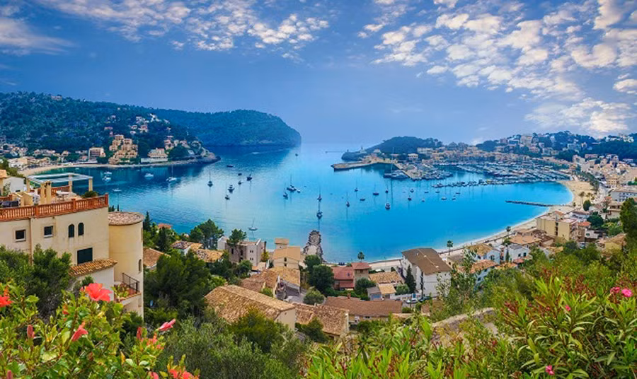 dao-majorca.jpg.avif