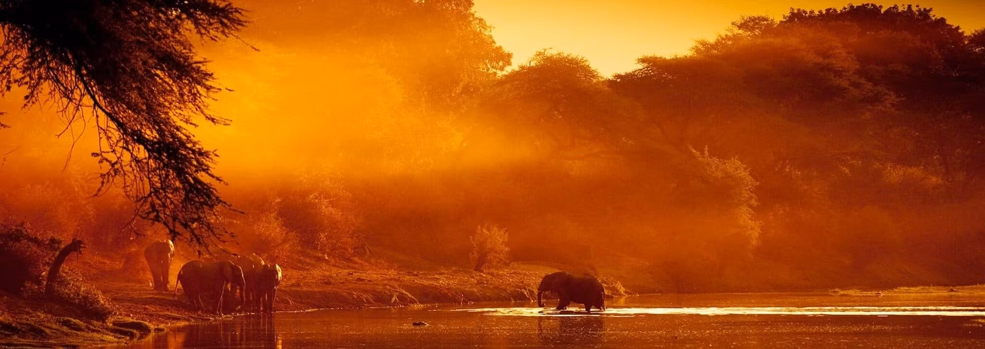 vuon-quoc-gia-south-luangwa-zambia.jpg