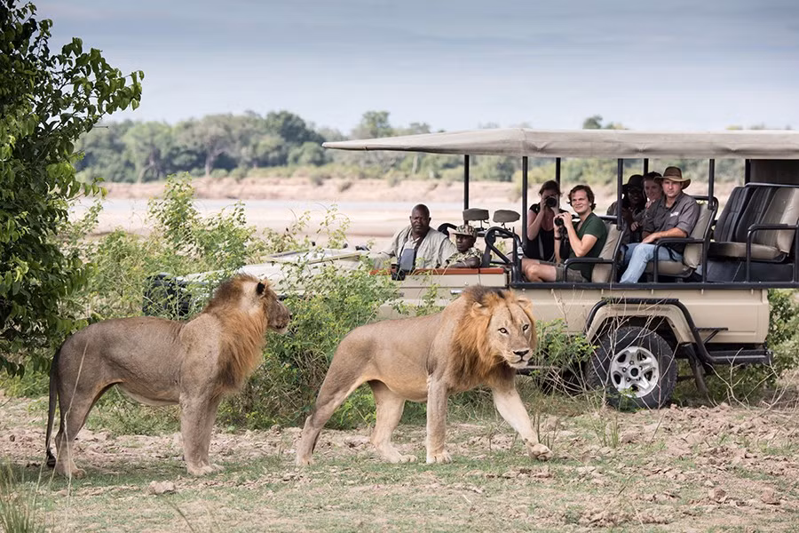 vuon-quoc-gia-south-luangwa-zambia-2.jpg