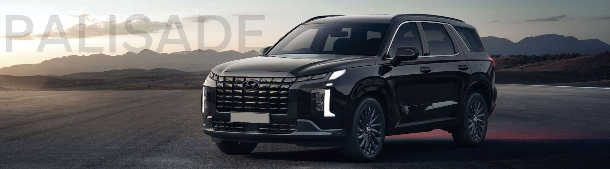 HYUNDAI PALISADE 2024.jpg