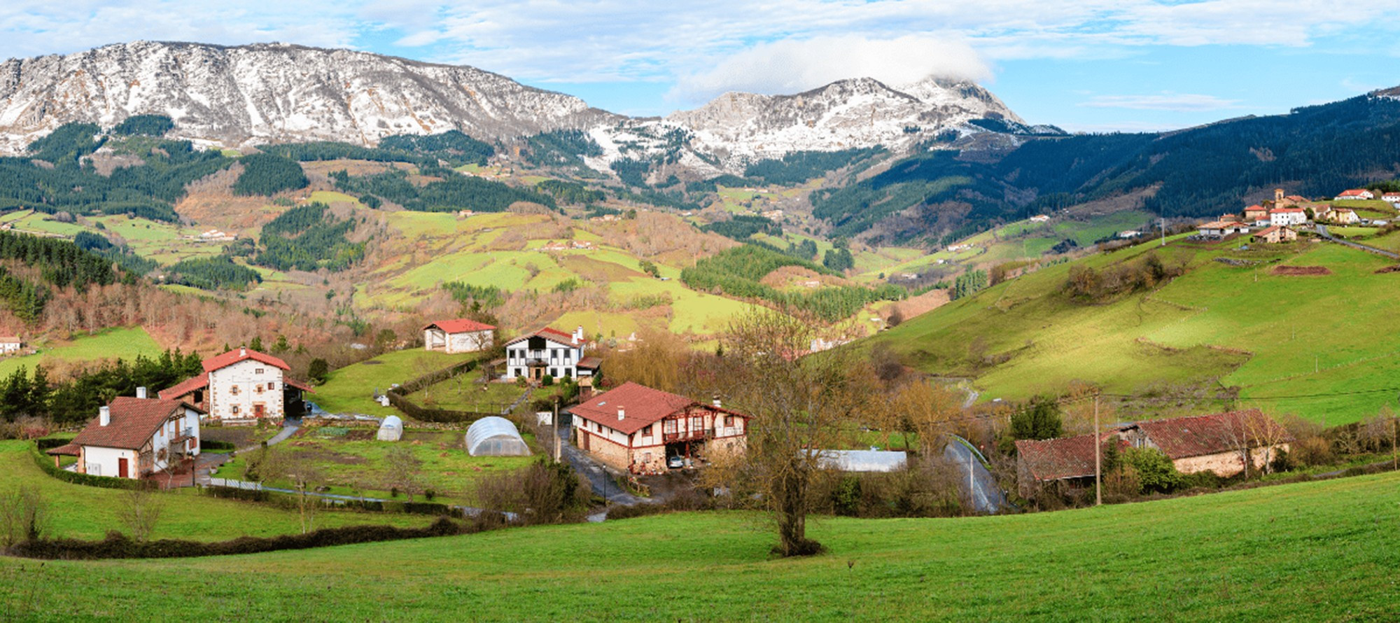 xu-basque-tbn.jpg