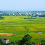 Chính phủ chính thức ban hành Nghị định số 49/2026/NĐ-CP quy định chi tiết và hướng dẫn thi hành một số điều của Nghị quyết 254/2025/QH15 của Quốc hội