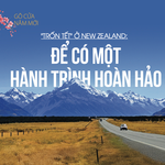 Trốn Tết ở New Zealand: Để có một hành trình hoàn hảo