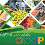 Nâng giá trị sản phẩm OCOP