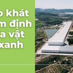 Khao khát định nghĩa vật liệu xanh