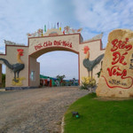 Khu du lịch Biển Đá Vàng