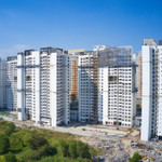 Cung bùng nổ, cầu ở thực “chết chìm” trong cơn sốt nhà cao cấp