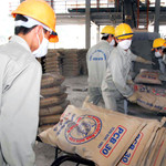 Dự kiến nhu cầu tiêu thụ xi măng năm 2025 đạt mức 95 - 100 triệu tấn