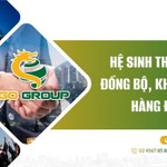Tập đoàn SGO chậm đóng 123 triệu đồng tiền bảo hiểm xã hội và bảo hiểm khác