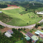 Hộ gia đình, cá nhân đang sử dụng đất nông nghiệp nếu đủ điều kiện được bồi thường về đất thì được hỗ trợ ổn định đời sống