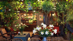 Café Retro và làn sóng hoài niệm của Gen Z