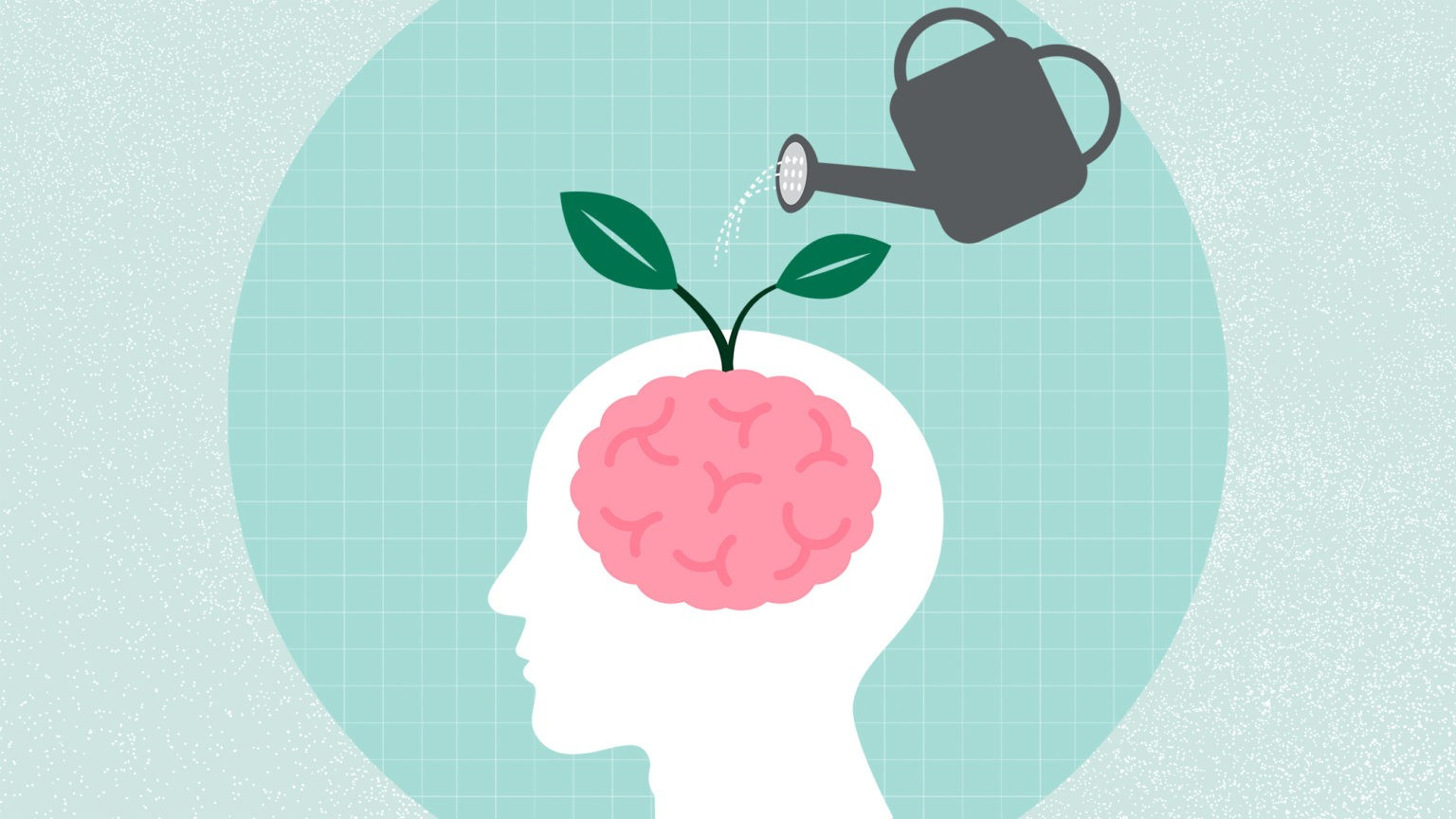 brain-health-1536x864.jpg