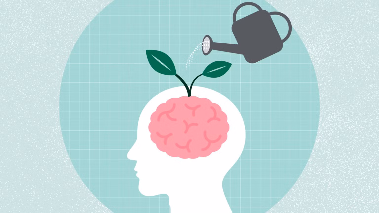 brain-health-1536x864.jpg