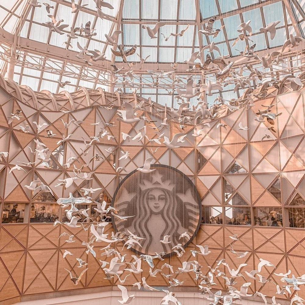 Một trong những cửa hàng Starbucks đẹp nhất thế giới zbgxuzpdhxsgmtcyj0gi.jpg
