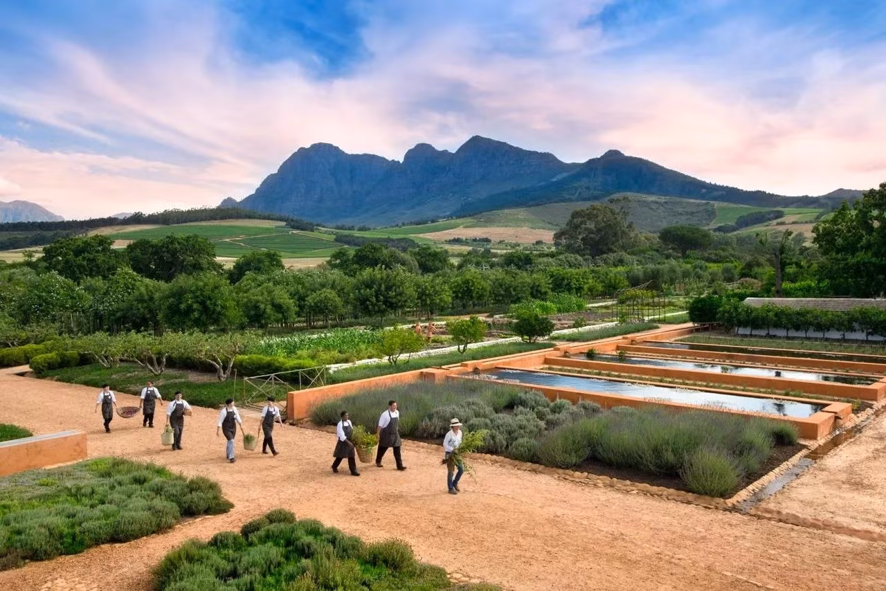 courtesy-of-babylonstoren.jpg