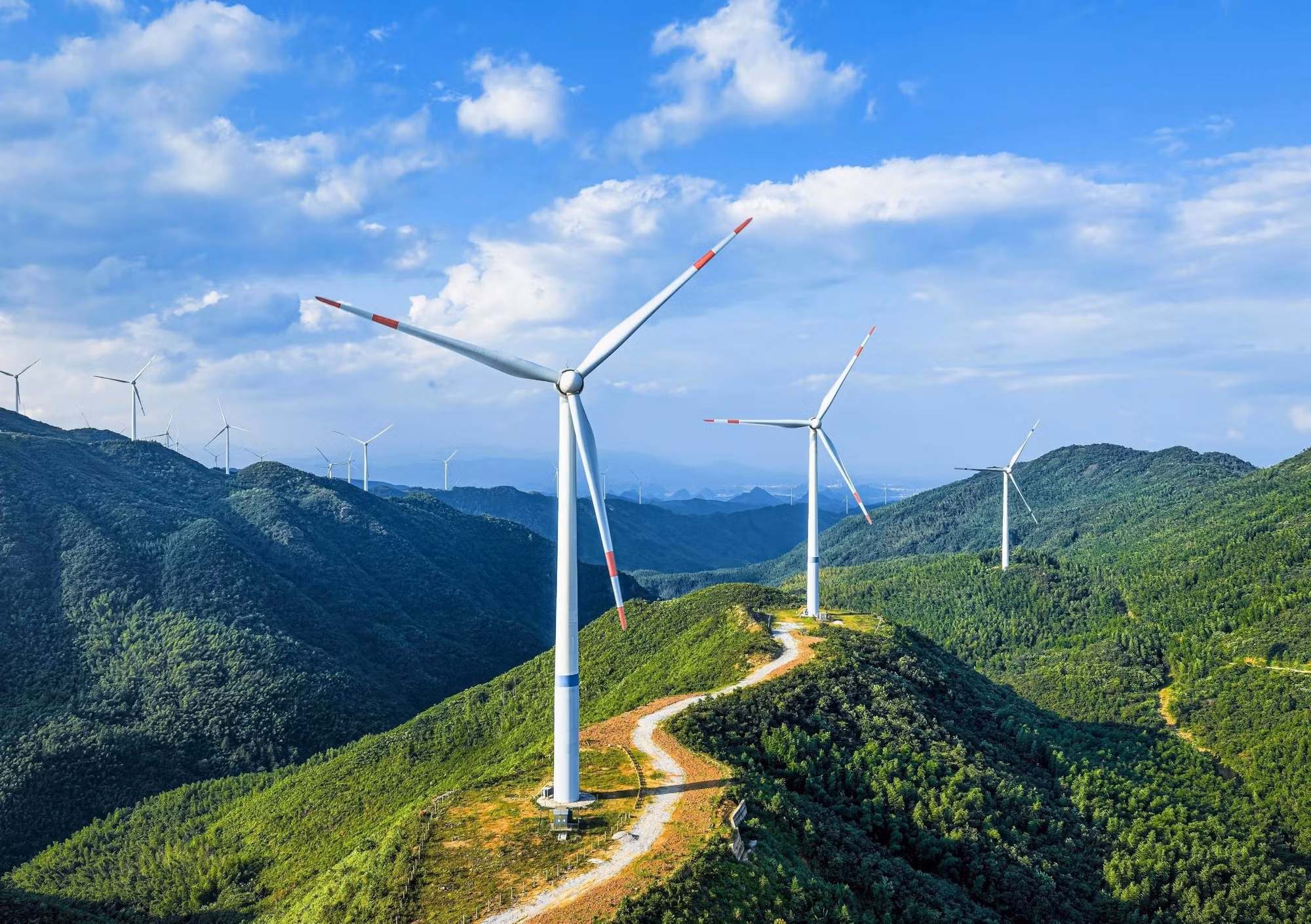 renewable-energy-beats-carbon-capture-as-a-climate-solution-v0-mk-qu9mfcyqbfveyv0umljesccth9lzkmyzejuw8fso.jpg