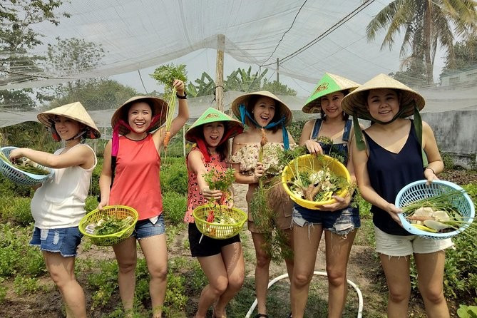 Du khách hào hứng với những trải nghiệm thú vị như hái rau tại vườn, câu cá, giã gạo 4d.jpg