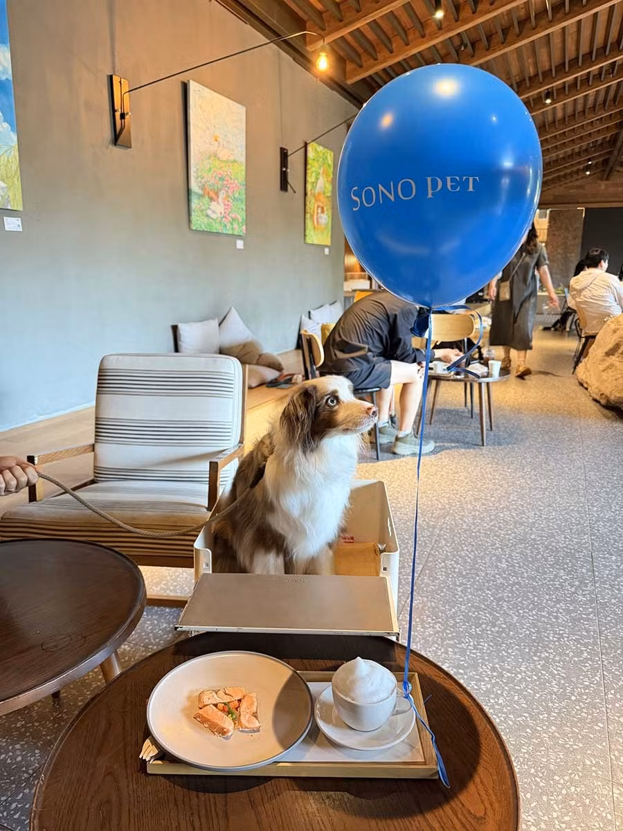 dog1.jpg