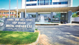 Bầu Đức và dàn lãnh đạo ồ ạt gom cổ phiếu HAG, chuyện gì đang xảy ra?
