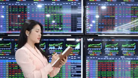 Chỉ số lập đỉnh mới, chuyên gia cảnh báo rủi ro điều chỉnh ngắn hạn