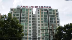 Hoàng Anh Gia Lai lại đánh rơi lợi nhuận vì mảng chăn nuôi