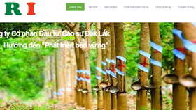 Đầu tư Cao su Đắk Lắk muốn “chuyển nhà” từ UPCoM lên HOSE