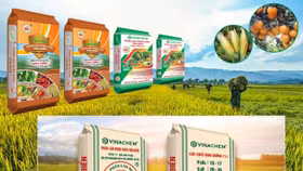 Cổ phiếu Vinachem bị đưa vào diện kiểm soát do vấn đề kiểm toán