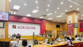 Agribank giữ mặt bằng lãi suất huy động trong tháng 7/2025