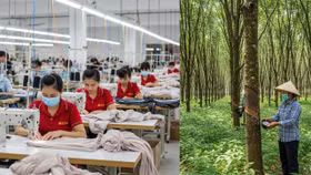 Một số doanh nghiệp dệt may, cao su bứt tốc nửa đầu 2025