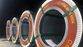 Cổ phiếu Hoa Sen lao dốc sau lời tự vấn của Chủ tịch Vũ