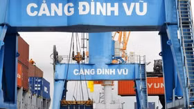 Chốt quyền cổ tức 30%, Cảng Đình Vũ lên kế hoạch chi 120 tỷ đồng