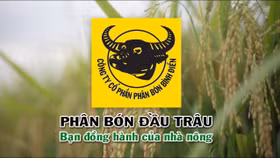 Phân bón Bình Điền (BFC): Lợi nhuận năm 2024 bùng nổ, vượt mục tiêu hơn 170%