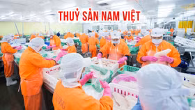 Một công ty xuất khẩu cá tra báo lãi 6 tháng đầu năm tăng hơn 1.700% 