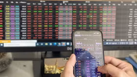 Dòng tiền rục rịch trở lại, công ty chứng khoán đồng loạt gọi tên sóng tăng sau Tết