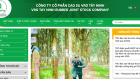 Lợi nhuận năm 2024 của Cao su Tây Ninh bật tăng ngoạn mục gần 230%